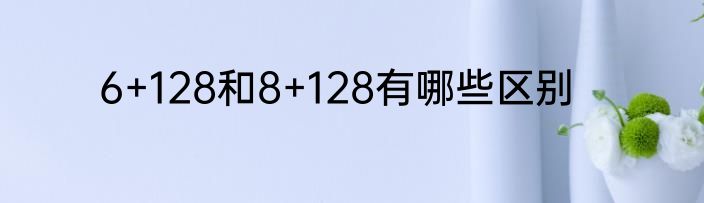 6+128和8+128有哪些区别