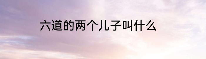六道的两个儿子叫什么