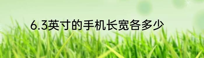 6.3英寸的手机长宽各多少