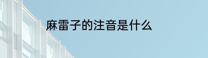麻雷子的注音是什么