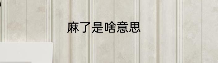 麻了是啥意思