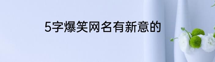 5字爆笑网名有新意的