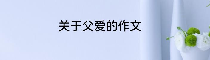 关于父爱的作文