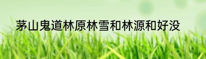 茅山鬼道林原林雪和林源和好没