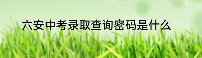六安中考录取查询密码是什么