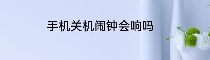 手机关机闹钟会响吗