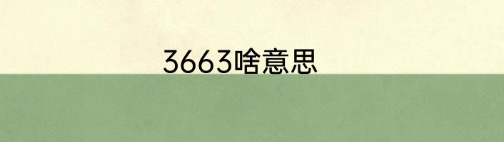 3663啥意思