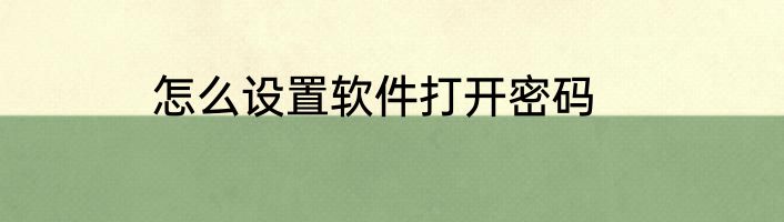 怎么设置软件打开密码
