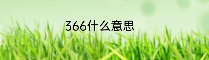 366什么意思