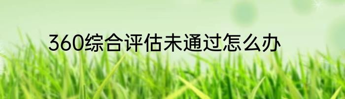 360综合评估未通过怎么办