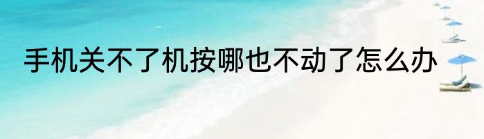 手机关不了机按哪也不动了怎么办