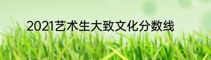 2021艺术生大致文化分数线