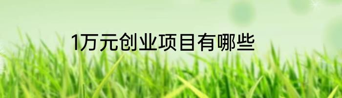1万元创业项目有哪些