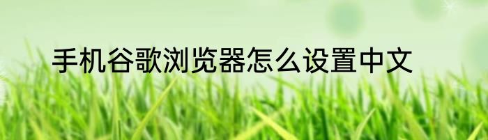 手机谷歌浏览器怎么设置中文