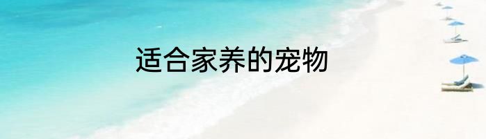 适合家养的宠物