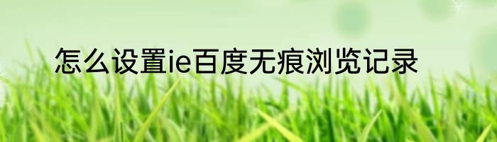 怎么设置ie百度无痕浏览记录