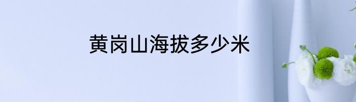 黄岗山海拔多少米