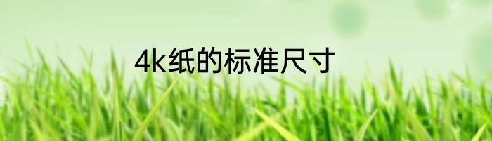 4k纸的标准尺寸