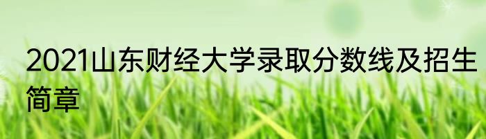 2021山东财经大学录取分数线及招生简章