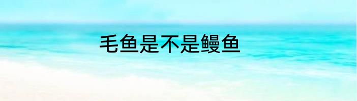 毛鱼是不是鳗鱼