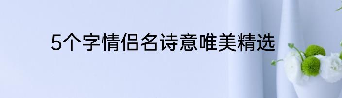 5个字情侣名诗意唯美精选