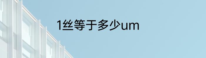 1丝等于多少um