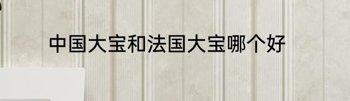 中国大宝和法国大宝哪个好