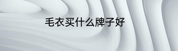 毛衣买什么牌子好