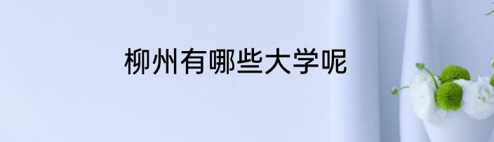 柳州有哪些大学呢