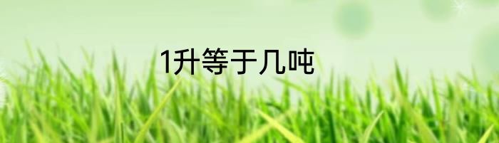 1升等于几吨