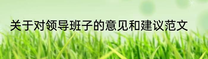 关于对领导班子的意见和建议范文