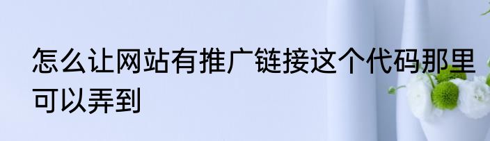 怎么让网站有推广链接这个代码那里可以弄到