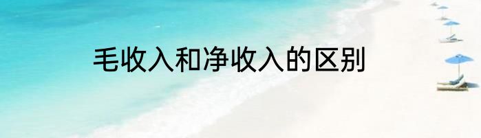 毛收入和净收入的区别