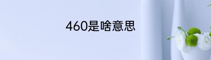 460是啥意思