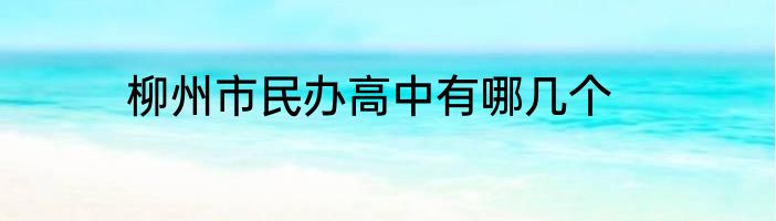 柳州市民办高中有哪几个