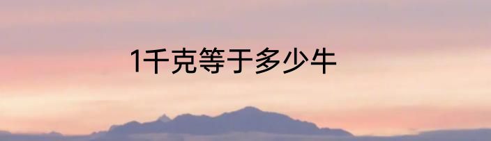 1千克等于多少牛