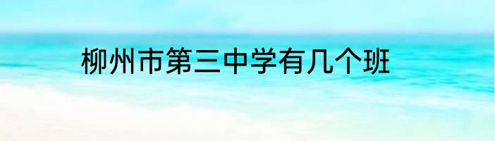 柳州市第三中学有几个班