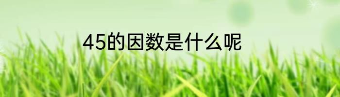 45的因数是什么呢
