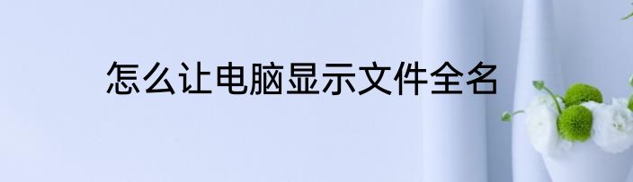 怎么让电脑显示文件全名