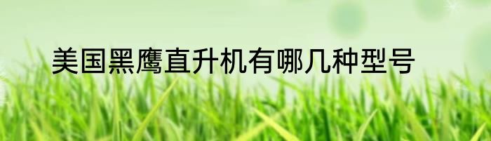 美国黑鹰直升机有哪几种型号