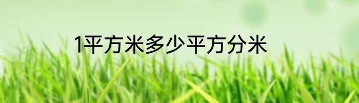 1平方米多少平方分米
