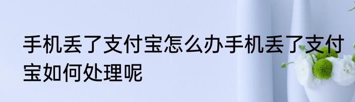 手机丢了支付宝怎么办手机丢了支付宝如何处理呢