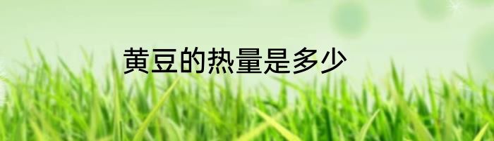 黄豆的热量是多少