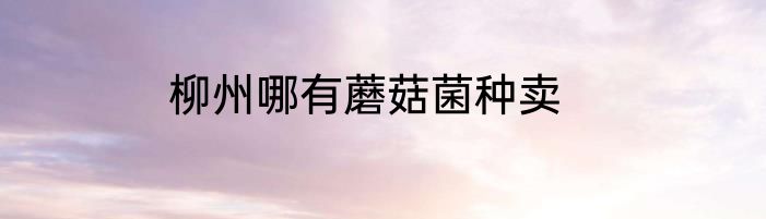 柳州哪有蘑菇菌种卖