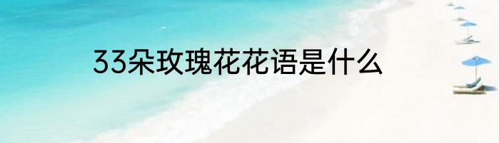 33朵玫瑰花花语是什么