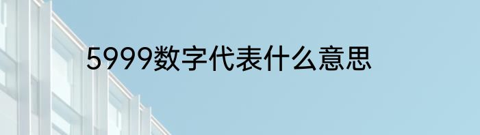 5999数字代表什么意思