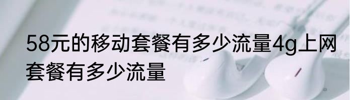 58元的移动套餐有多少流量4g上网套餐有多少流量