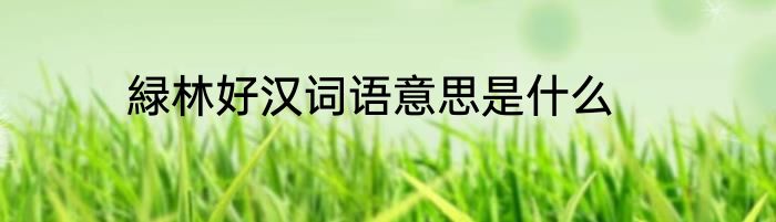 緑林好汉词语意思是什么