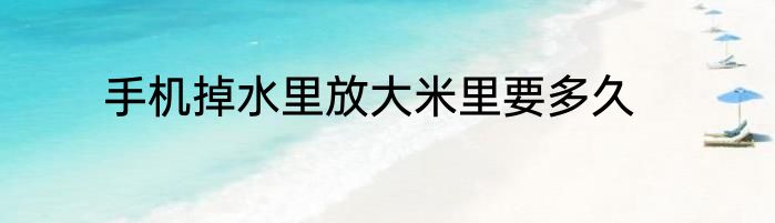 手机掉水里放大米里要多久