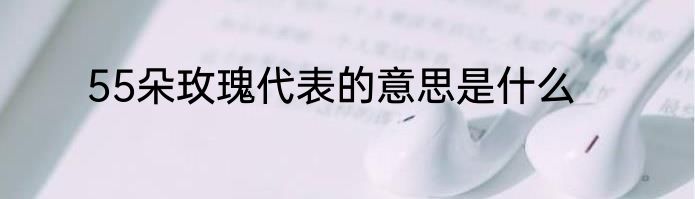 55朵玫瑰代表的意思是什么